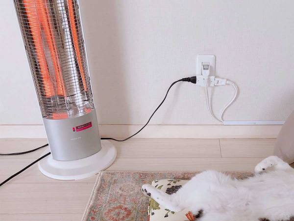 『もう二度と野良には戻れない猫』　ネットで「笑った」「完全にオッサン」と話題