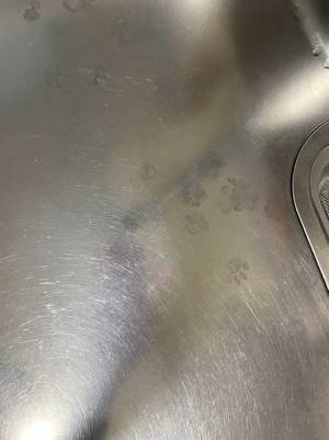 ２０万人がメロッメロ！　『犯行現場』に残された足跡の正体が、コチラ