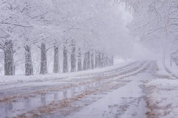 初雪の滋賀県で撮影された４枚の写真が美しすぎた