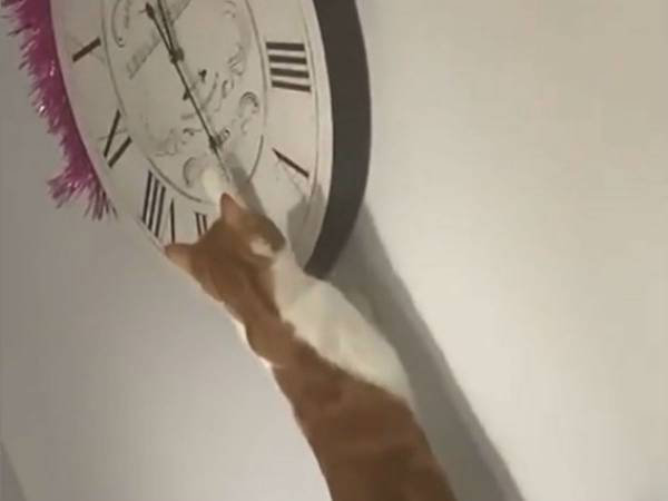 犯人はお前かーい！　なぜかいつも時計の時刻が狂っている原因に大笑い