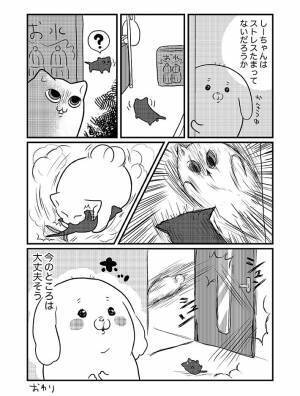 突然やってきた『子猫』を、威嚇する先住猫　数日後…？