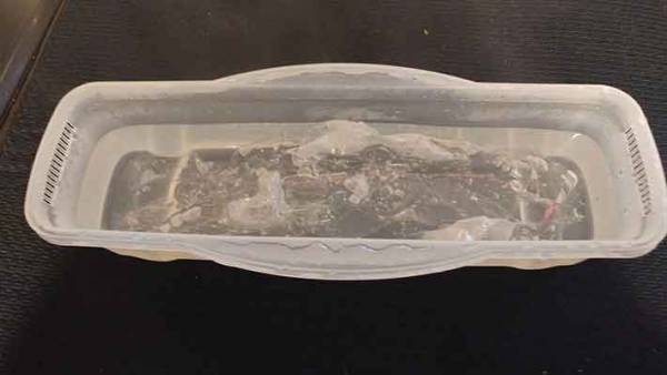 爽快！卵パックをぺちゃんこにする裏技がクセになる