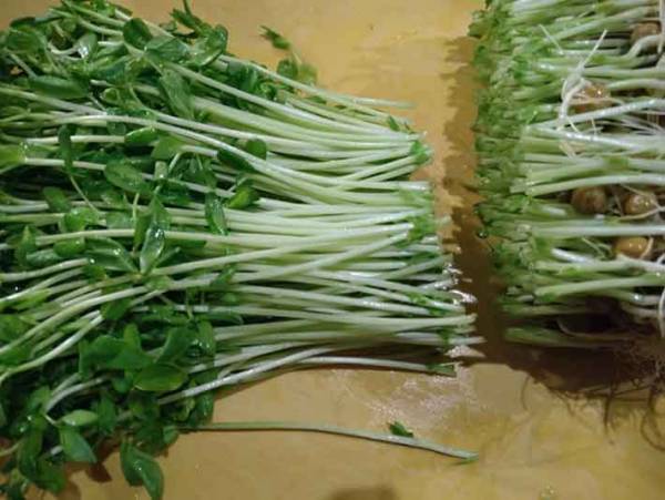 箸休めにおすすめの『おひたし』 いつもより少し手をかけておいしく食べよう！