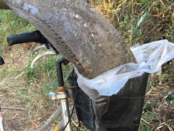 『ある場所』から帰る男性　自転車を写した１枚に８万人が吹き出す！