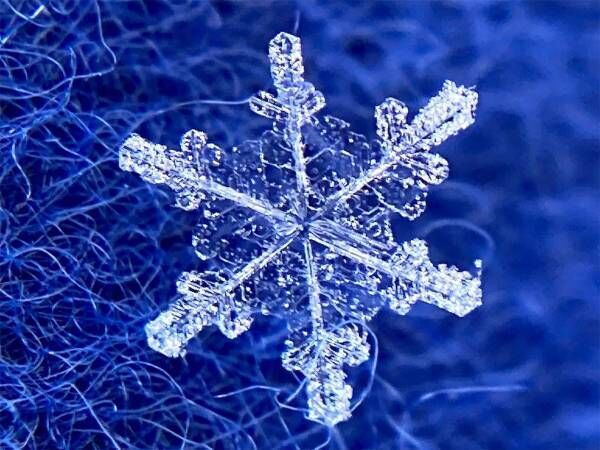 雪の結晶 をスマホで撮るには 気象学者の投稿が話題 コレはやってみたい 年12月23日 ウーマンエキサイト 1 3