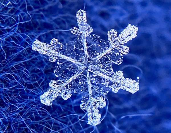『雪の結晶』をスマホで撮るには？　気象学者の投稿が話題　「コレはやってみたい」