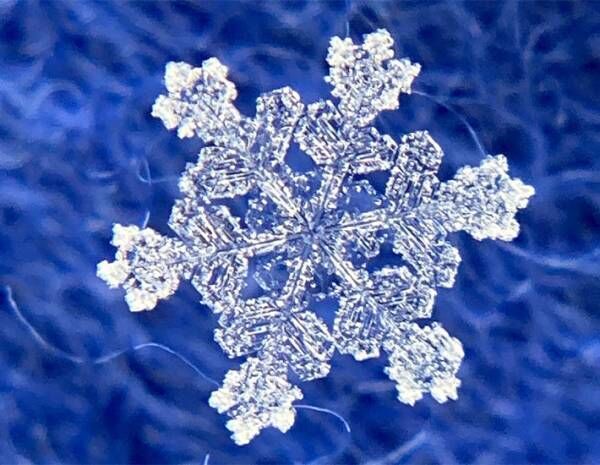 雪の結晶 をスマホで撮るには 気象学者の投稿が話題 コレはやってみたい 年12月23日 ウーマンエキサイト 1 3