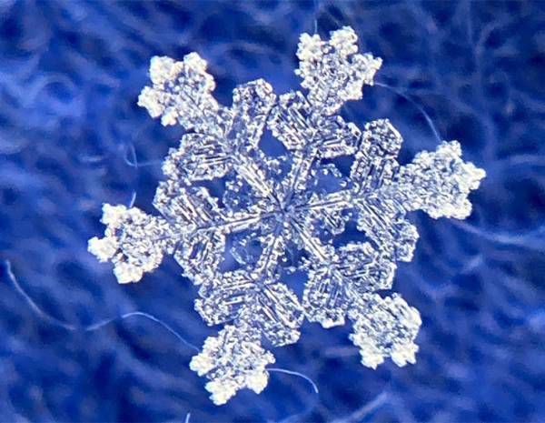 『雪の結晶』をスマホで撮るには？　気象学者の投稿が話題　「コレはやってみたい」