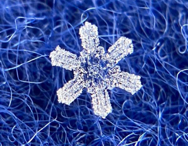 『雪の結晶』をスマホで撮るには？　気象学者の投稿が話題　「コレはやってみたい」