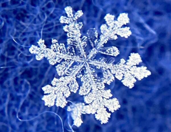 『雪の結晶』をスマホで撮るには？　気象学者の投稿が話題　「コレはやってみたい」