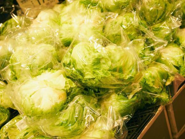 全農がレタスの『意外な食べ方』を紹介し、ネットで話題　「信じがたいかもですが」