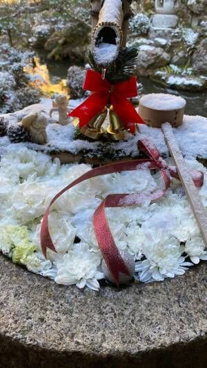 京都のお寺にある『聖なる花手水』が美しい！　雪が積もると…？