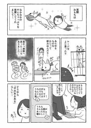 おもちゃを持ってきた子犬、夫の『気付き』にハッとする