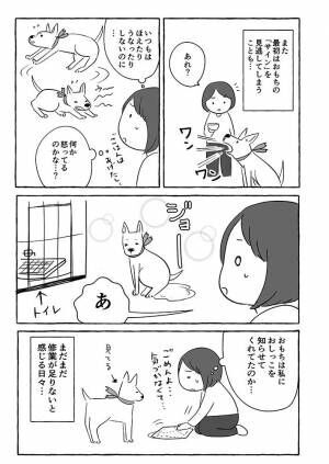 おもちゃを持ってきた子犬 夫の 気付き にハッとする 年12月25日 ウーマンエキサイト 1 2