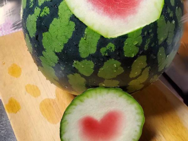 家庭菜園でスイカを育てたら？　まさかの断面に「幸せになれそう」「奇跡」