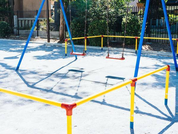 公園のマナー違反に憤りの声　犬の飼い主が目にした危険物