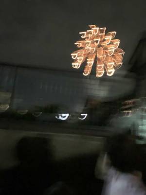 ４歳娘が撮影した花火に「声上げて笑った」「シュールすぎる」の声