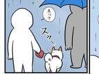 散歩中に突然の雨　すると愛犬が傘を持った人に気付き？