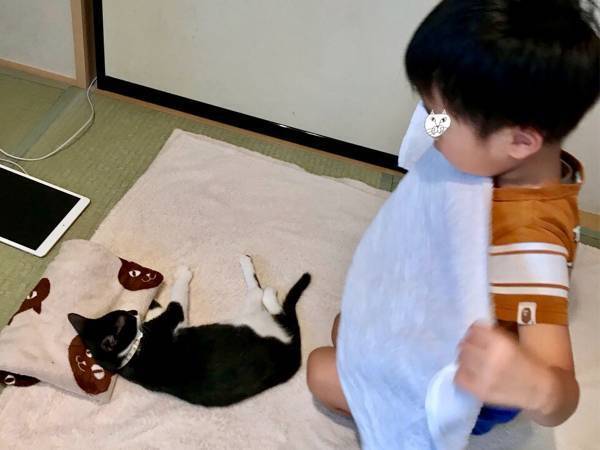 『布団で眠る猫』に気付いた息子　続く展開が、平和すぎた