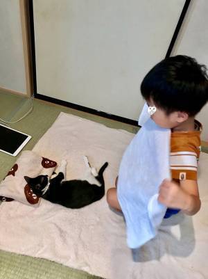 『布団で眠る猫』に気付いた息子　続く展開が、平和すぎた