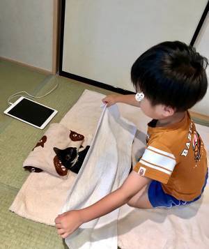 『布団で眠る猫』に気付いた息子　続く展開が、平和すぎた