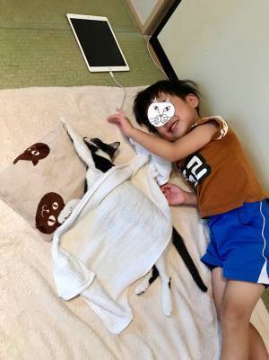 『布団で眠る猫』に気付いた息子　続く展開が、平和すぎた