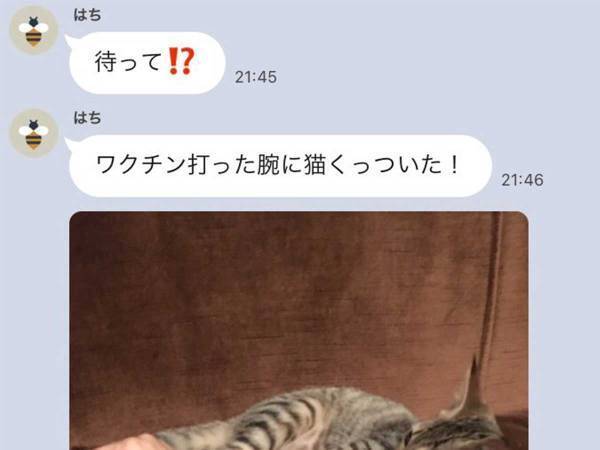 ワクチンを打った妹からLINE、内容に「最高の副反応」「かわいすぎる」