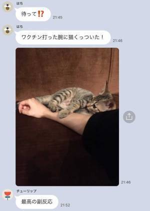 ワクチンを打った妹からLINE、内容に「最高の副反応」「かわいすぎる」