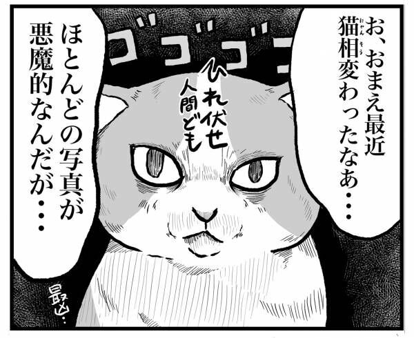 飼い主「どう撮っても可愛いじゃん！」　９年後の展開に、吹きだす