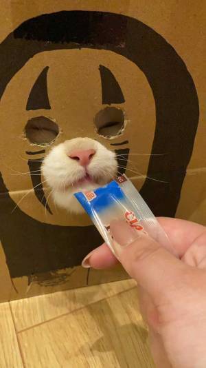 段ボールに３つの穴を開けた女性　使った動画に「ナイスアイディア」「やりたい」