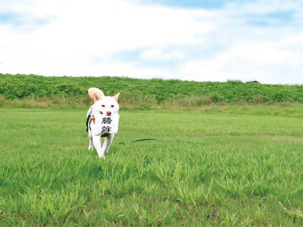 かわいすぎると話題になったある写真　犬が誇らしげに持ってきたのは…？