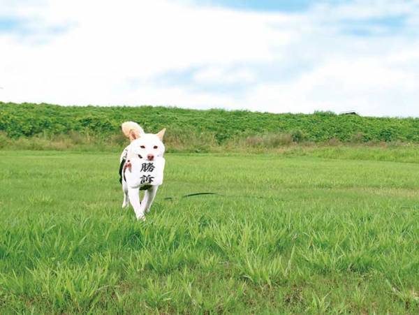 かわいすぎると話題になったある写真　犬が誇らしげに持ってきたのは…？