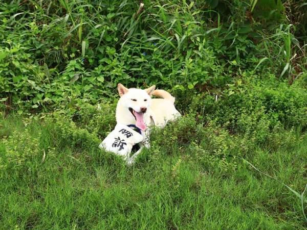 かわいすぎると話題になったある写真　犬が誇らしげに持ってきたのは…？