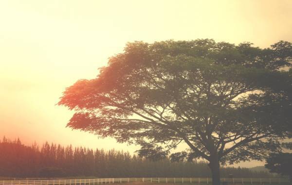 見たことのないものを見たい、という好奇心がある限り、人生を変えるチャンスはいくらでもあるはず