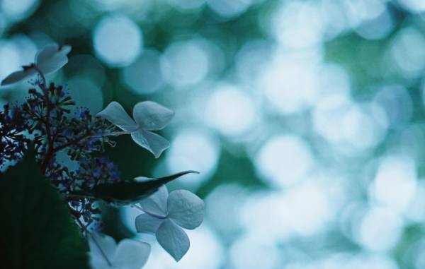 見たことのないものを見たい、という好奇心がある限り、人生を変えるチャンスはいくらでもあるはず