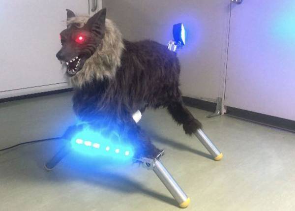 １８５万円のふるさと納税返礼品　見た目に「夜見たらビビる」「ネタかと思ったら…」