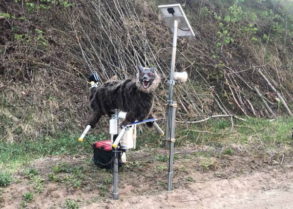 １８５万円のふるさと納税返礼品　見た目に「夜見たらビビる」「ネタかと思ったら…」