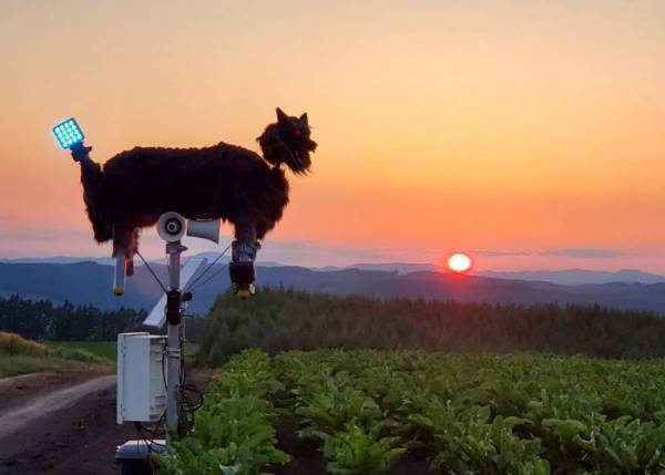 １８５万円のふるさと納税返礼品　見た目に「夜見たらビビる」「ネタかと思ったら…」