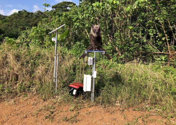 １８５万円のふるさと納税返礼品　見た目に「夜見たらビビる」「ネタかと思ったら…」