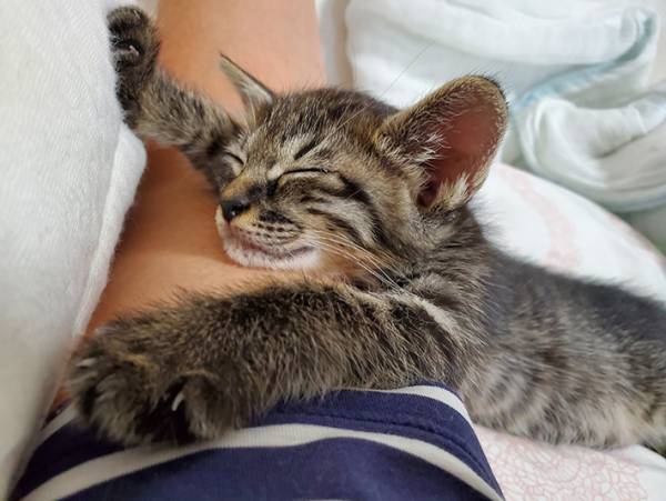 「おい、誰やねん」　心ない人が『バイクの荷物入れ』に入れたモノに怒り心頭