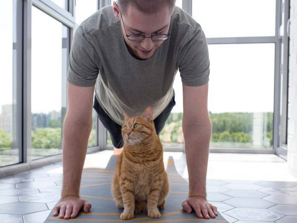 腕立て伏せをする男性を指導しているのは？　「かわいすぎて笑った！」