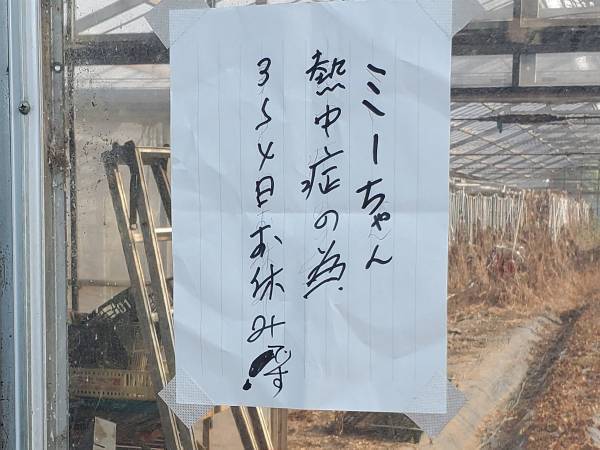 猫が熱中症になっちゃった！　『お休みを知らせる貼り紙』の下を見ると？