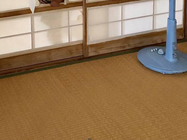 突撃してきた『小さなモンスター』　最高の表情に「怒れない！」「これこそ子供」