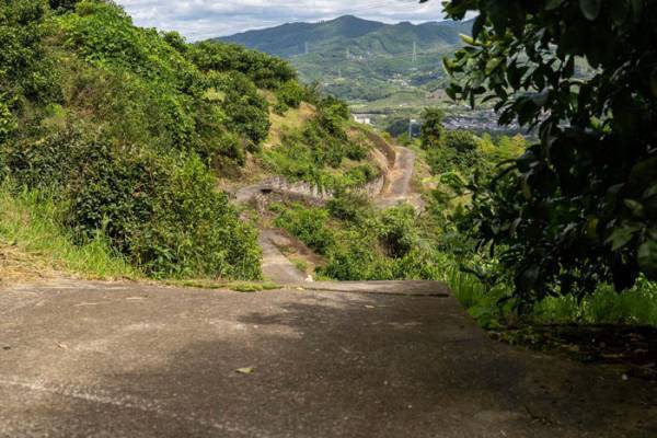 飼い主がいないことに気付いた柴犬　直後の行動に「涙が出た」の声