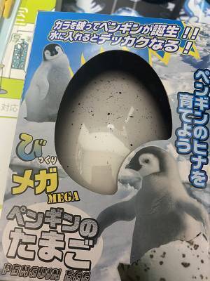 卵から生まれたものに「笑いすぎて涙出た」　まさかの結果に爆笑する人が続出！