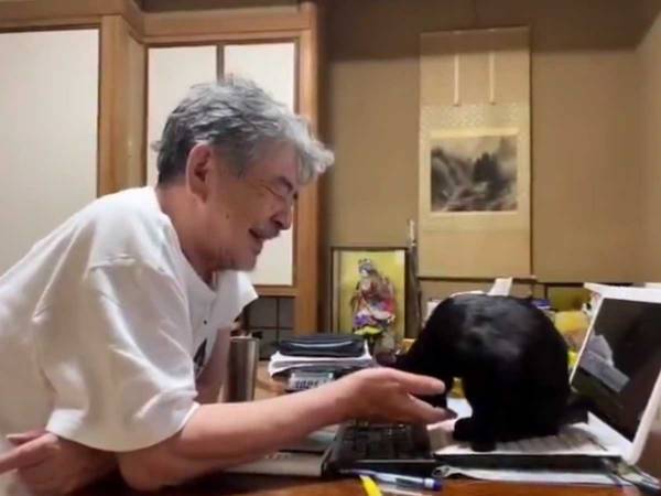 猫に『お手』をさせようとした父親　結果に「すごい」「信頼関係が伝わる」