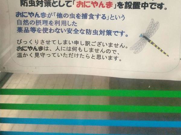 「設置中です」　コンビニの虫よけ対策が斜め上