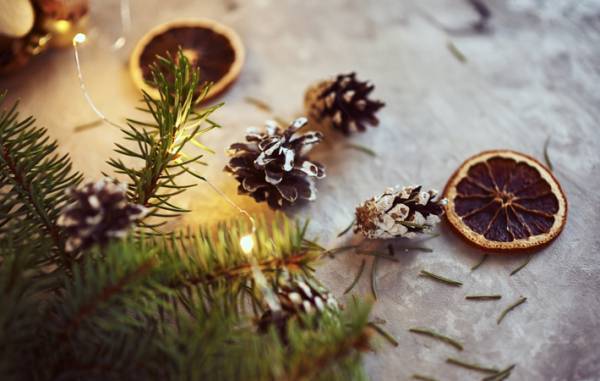 いつが最後になるのか誰もわからない　だからこそ、「いま、ここ」にしっかりと立ち、味わう