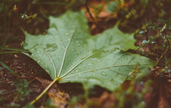 いつが最後になるのか誰もわからない　だからこそ、「いま、ここ」にしっかりと立ち、味わう