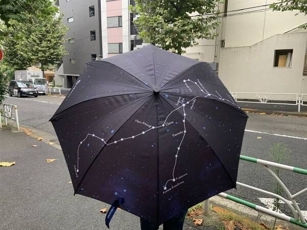 星座柄に見える傘、近付いてよく見ると…　「ウケた」「借りてみたい」
